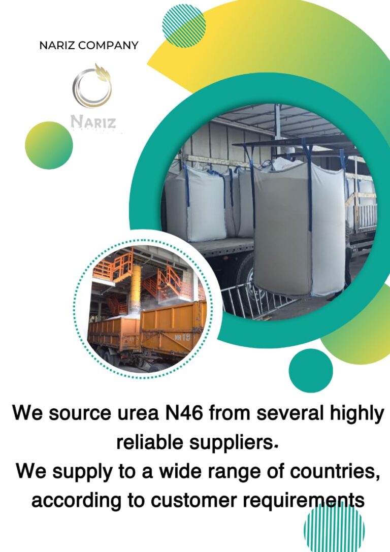 whatsapp image 2025 09 27 at 00.14.53 97fd3740